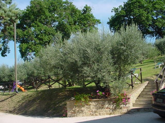 La Cantina San Martino