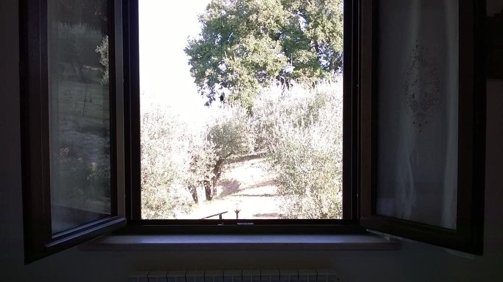 La Cantina San Martino